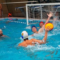 afficheur-water-polo-calypso-belgium