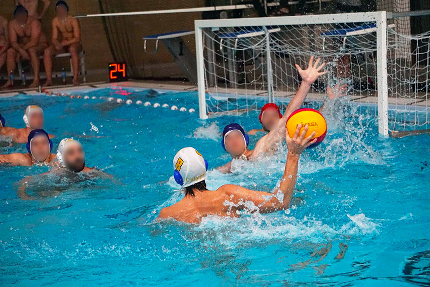 afficheur-water-polo-calypso-belgium